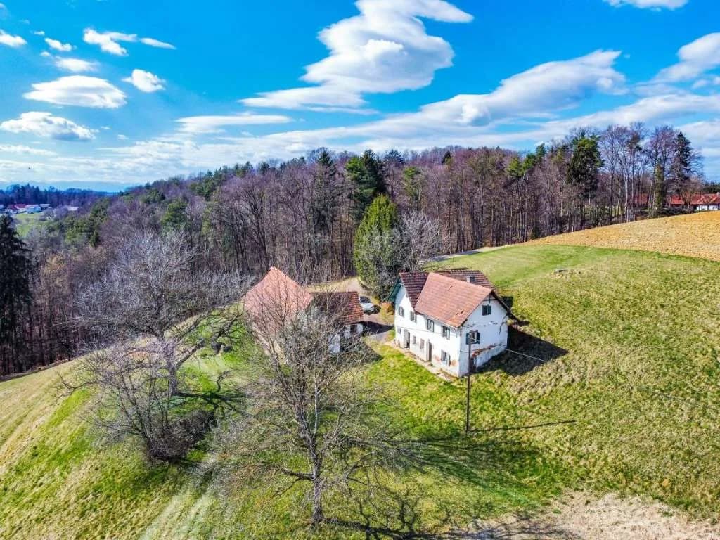Immobilie kaufen in Südoststeiermark – 10 000 m², € 275.000 – Bild 7 von 20