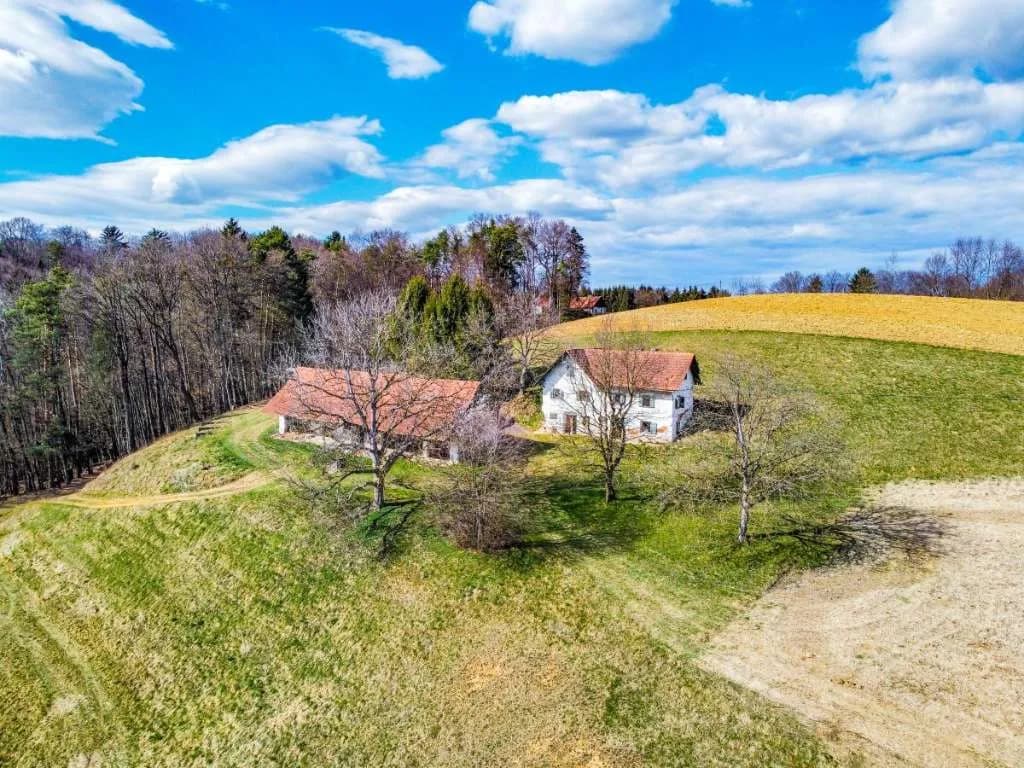 Immobilie kaufen in Südoststeiermark – 10 000 m², € 275.000 – Bild 8 von 20
