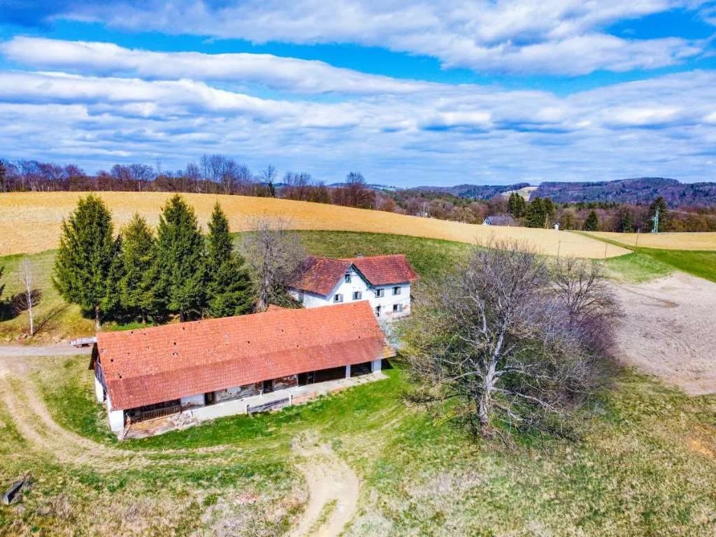 Immobilie kaufen in Südoststeiermark – 10 000 m², € 275.000 – Bild 9 von 20