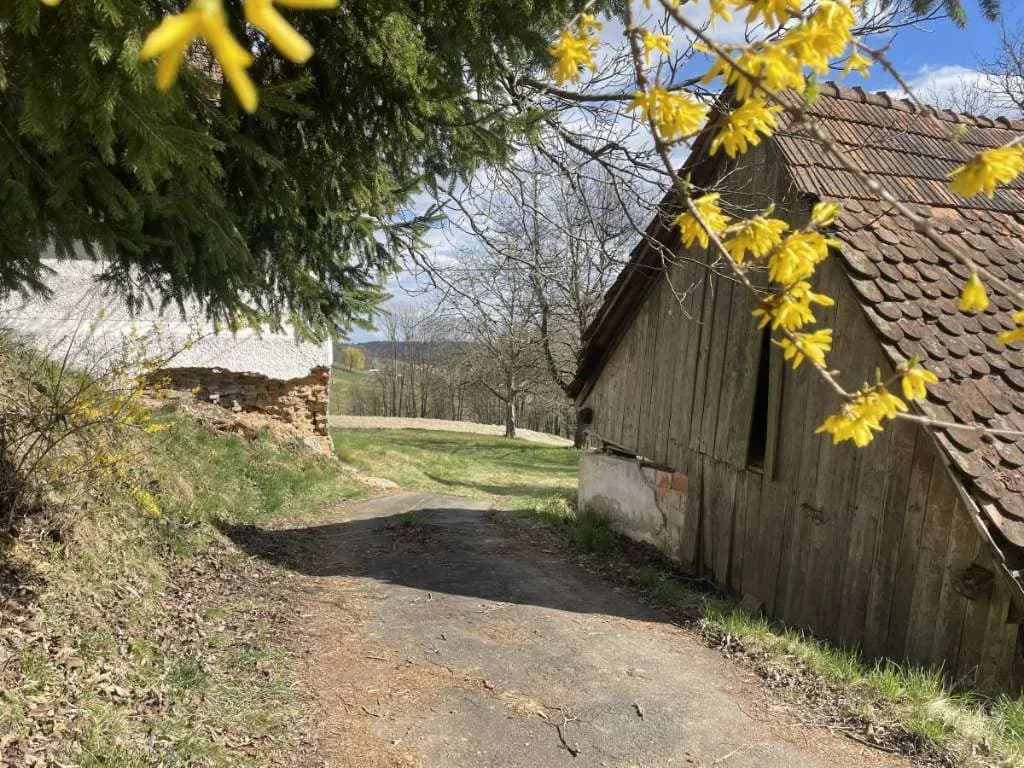 Immobilie kaufen in Südoststeiermark – 10 000 m², € 275.000 – Bild 13 von 20