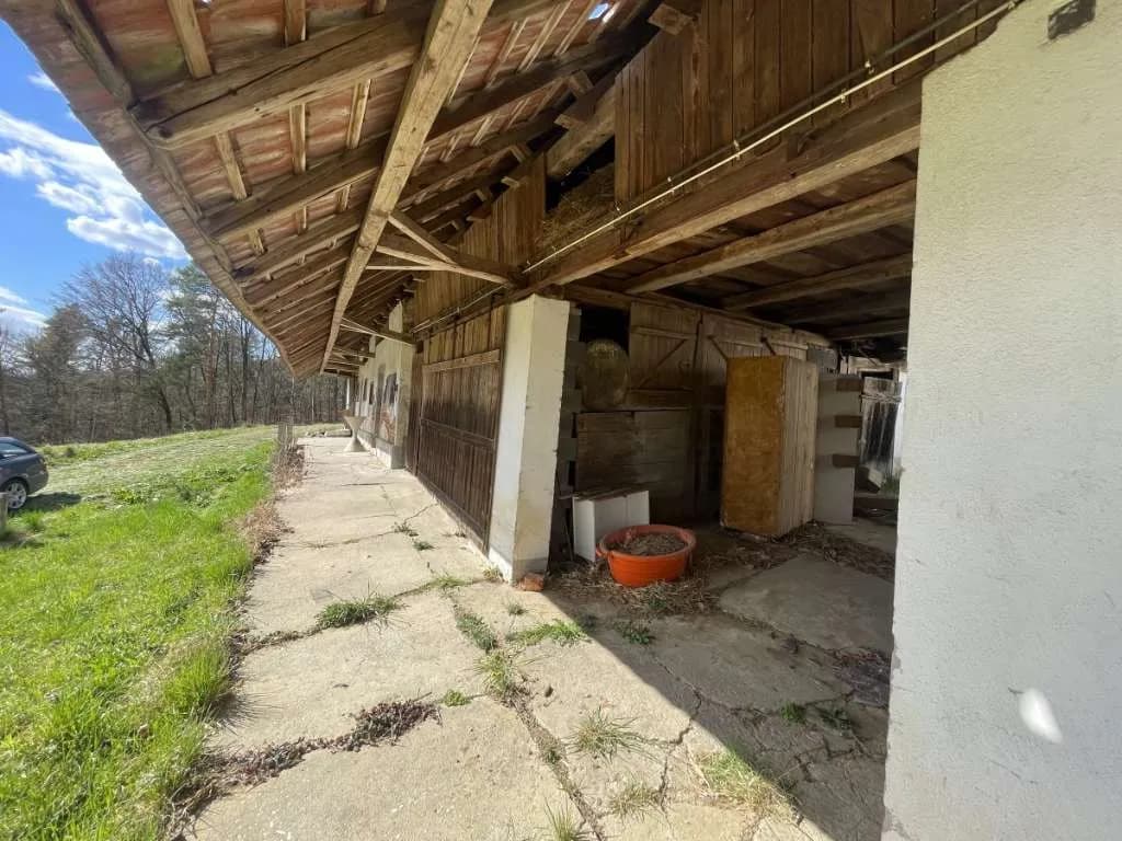 Immobilie kaufen in Südoststeiermark – 10 000 m², € 275.000 – Bild 17 von 20