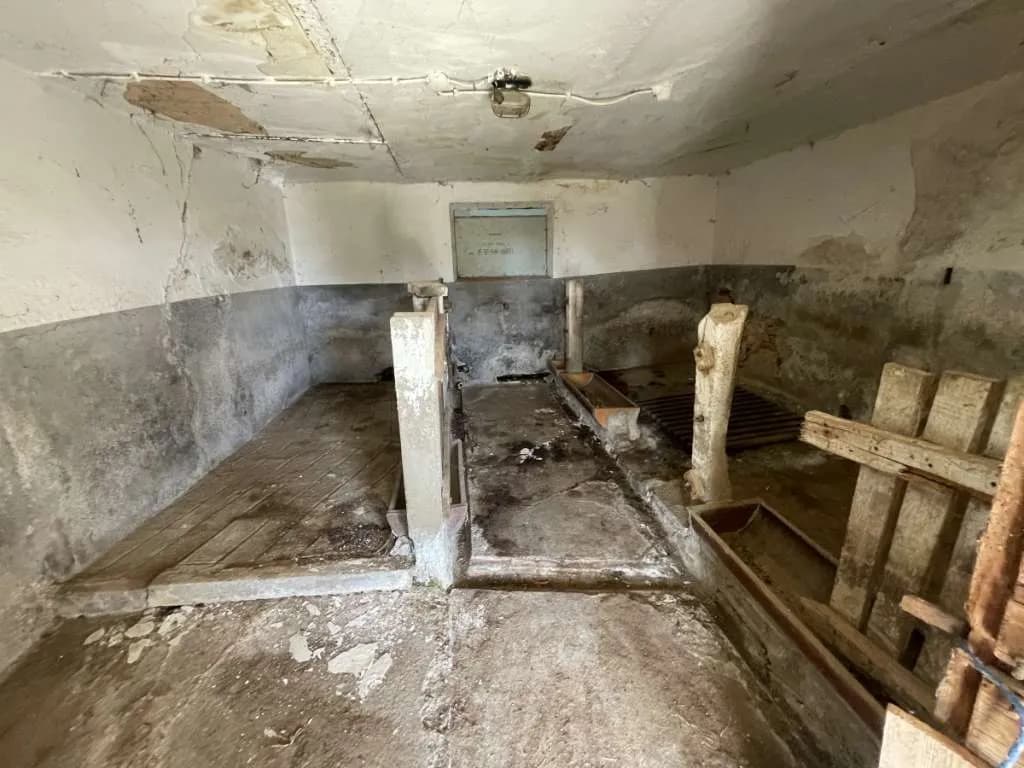 Immobilie kaufen in Südoststeiermark – 10 000 m², € 275.000 – Bild 20 von 20