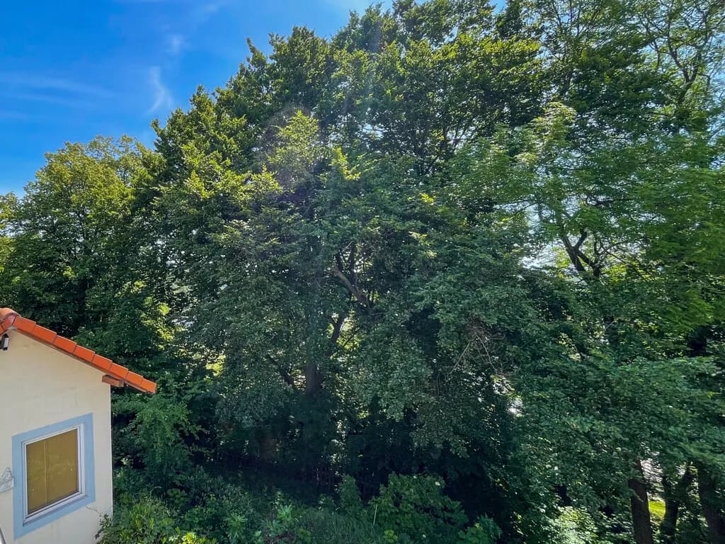 Grundstück kaufen in Urfahr-Umgebung – € 250.000 – Bild 4 von 10