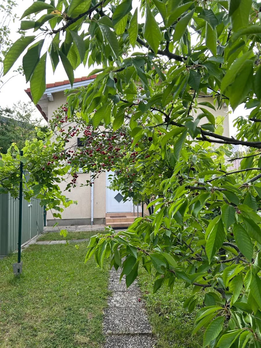 3-Zimmer-Haus mieten in Wien – 83 m², € 1.780