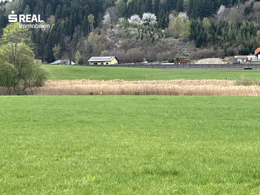 Immobilie kaufen in Murau – € 230.115 – Bild 2 von 16