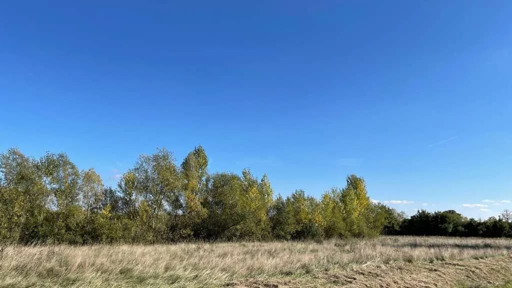 Immobilie kaufen in Österreich – 51 000 m², € 450.000 – Bild 4 von 17