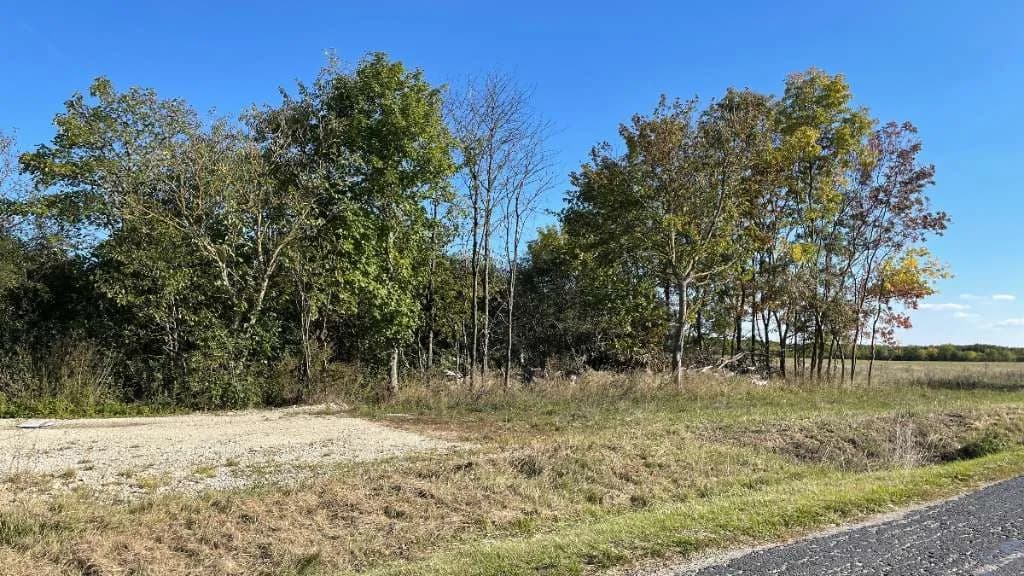 Immobilie kaufen in Österreich – 51 000 m², € 450.000 – Bild 6 von 17