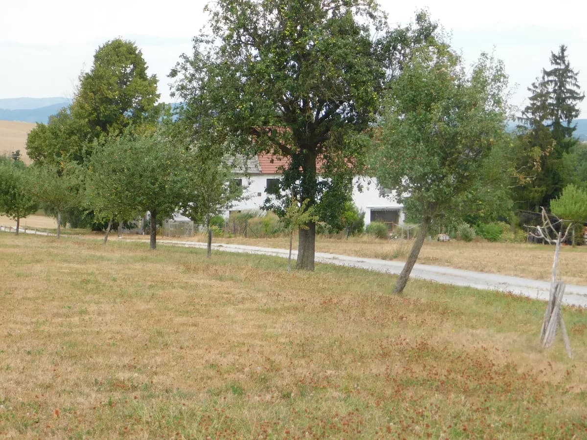 8-Zimmer-Immobilie kaufen in Melk – 160 m², € 890.000 – Bild 1 von 7