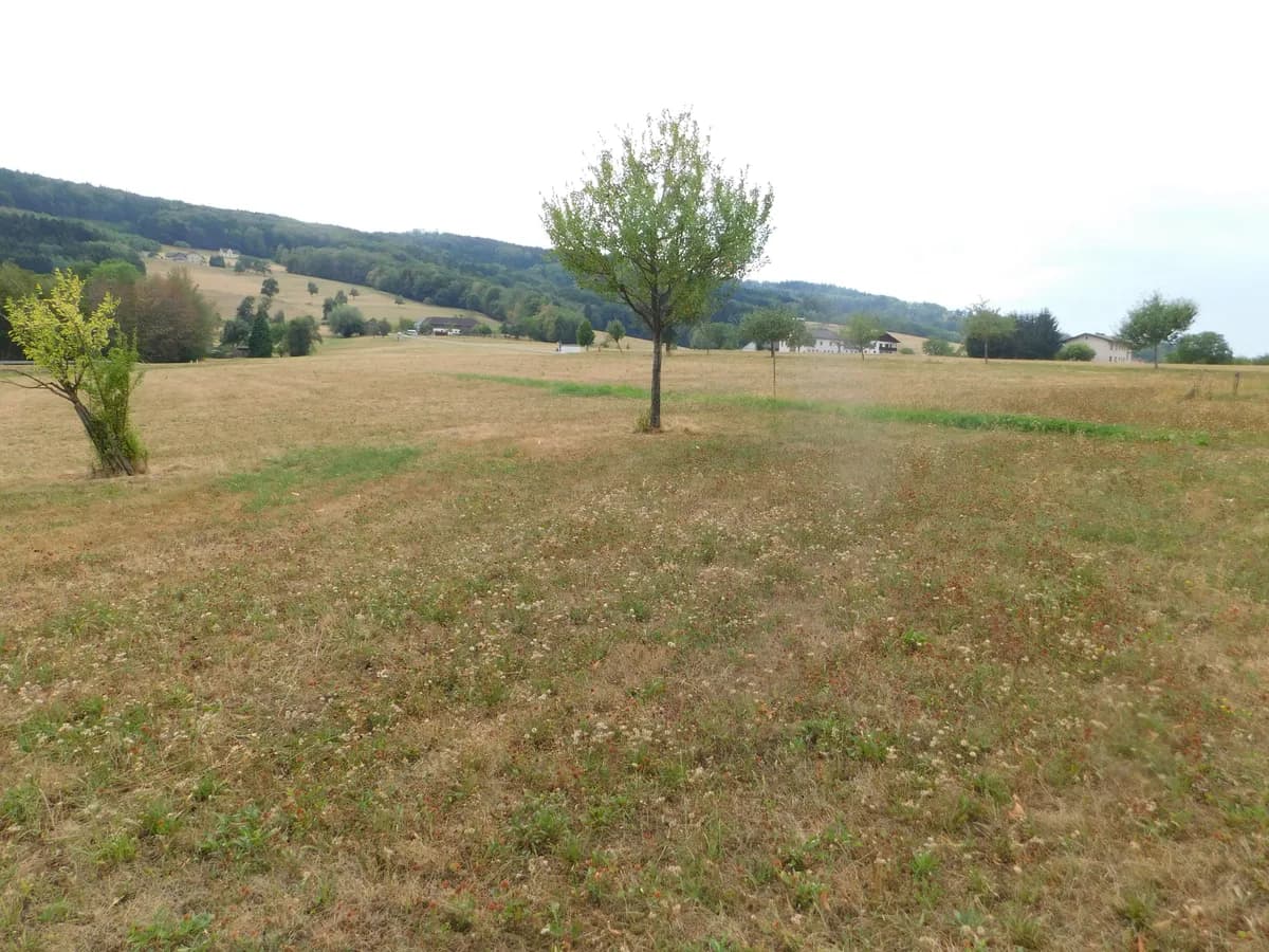 8-Zimmer-Immobilie kaufen in Melk – 160 m², € 890.000 – Bild 6 von 7