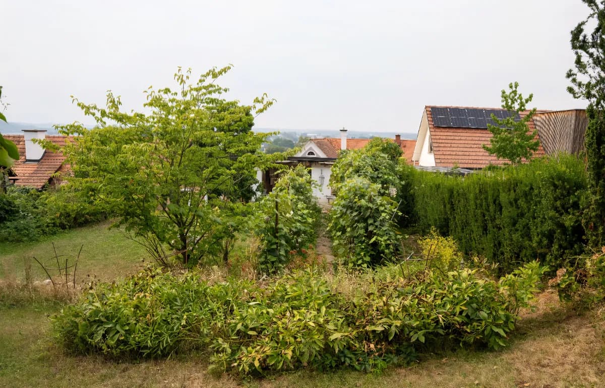 Immobilie mieten in Leibnitz – 153 m², € 1.400 – Bild 16 von 17