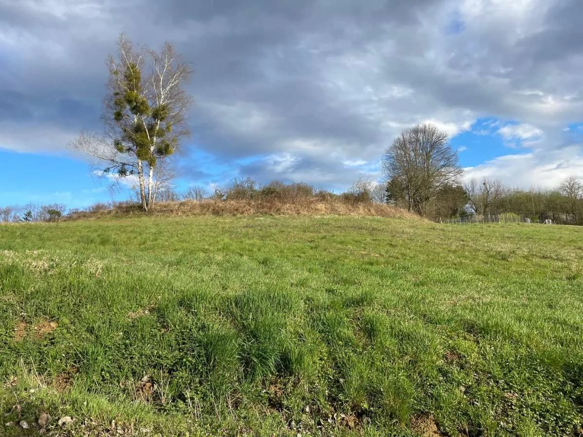 Grundstück kaufen in Güssing – 13 907 m², € 98.000 – Bild 5 von 12