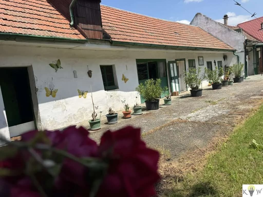 Haus kaufen in Neusiedl am See – 100 m², € 320.000 – Bild 3 von 13