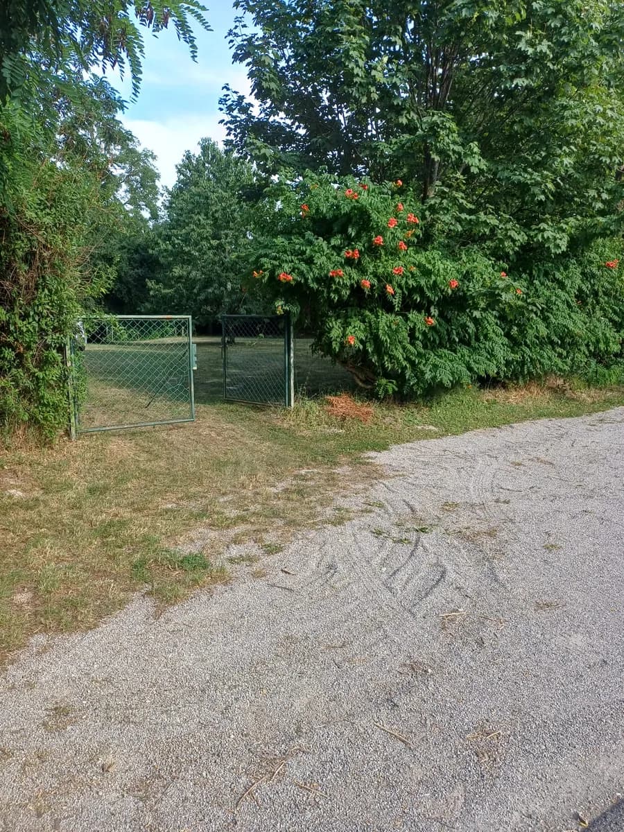 Immobilie mieten in Eisenstadt - Umgebung – 1 370 m², € 2.100