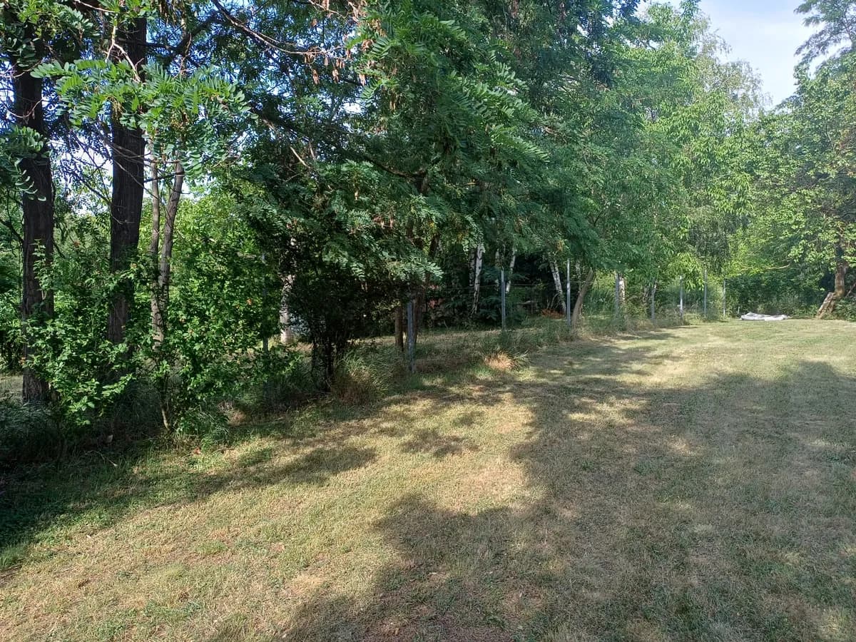 Immobilie mieten in Eisenstadt - Umgebung – 1 370 m², € 2.100 – Bild 3 von 30