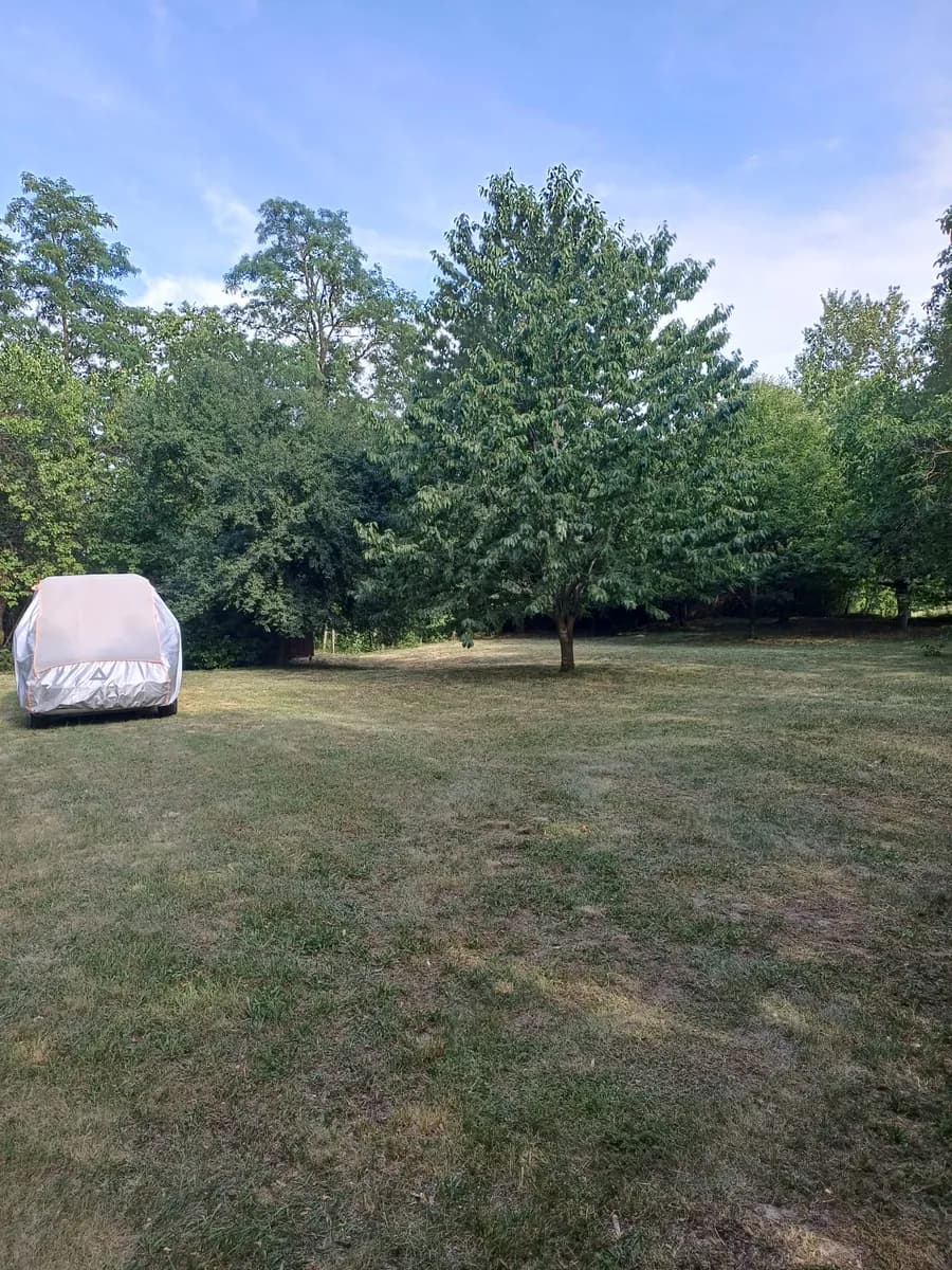 Immobilie mieten in Eisenstadt - Umgebung – 1 370 m², € 2.100 – Bild 5 von 30