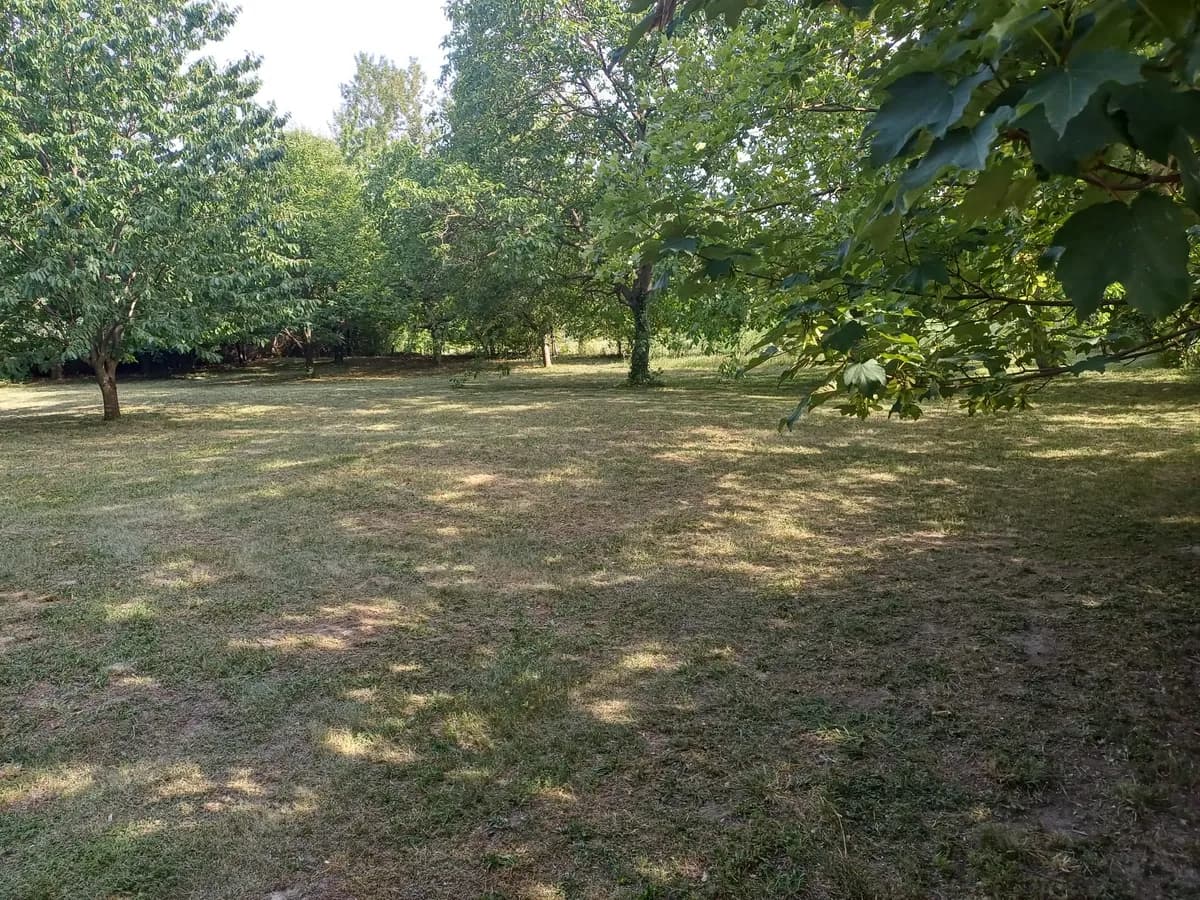 Immobilie mieten in Eisenstadt - Umgebung – 1 370 m², € 2.100 – Bild 7 von 30