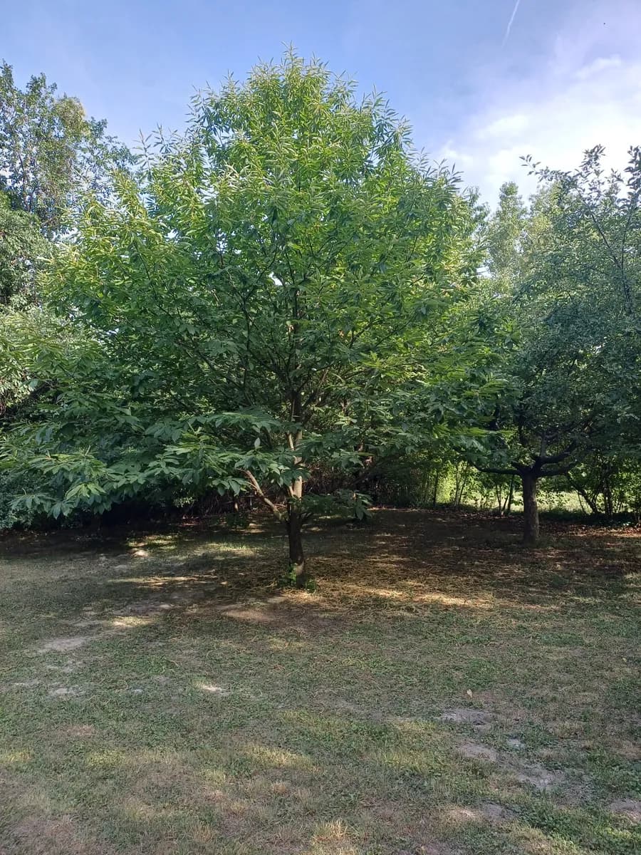 Immobilie mieten in Eisenstadt - Umgebung – 1 370 m², € 2.100 – Bild 8 von 30