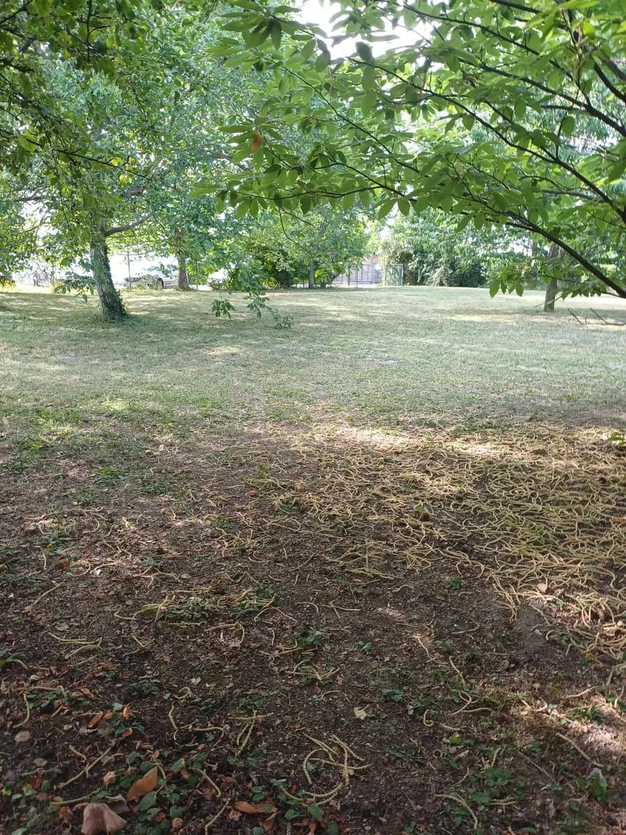 Immobilie mieten in Eisenstadt - Umgebung – 1 370 m², € 2.100 – Bild 13 von 30