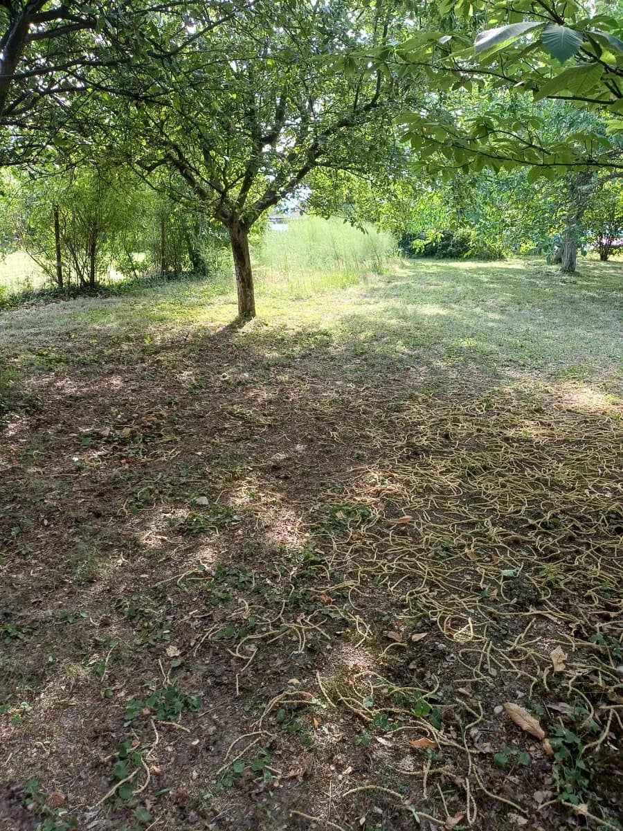Immobilie mieten in Eisenstadt - Umgebung – 1 370 m², € 2.100 – Bild 14 von 30