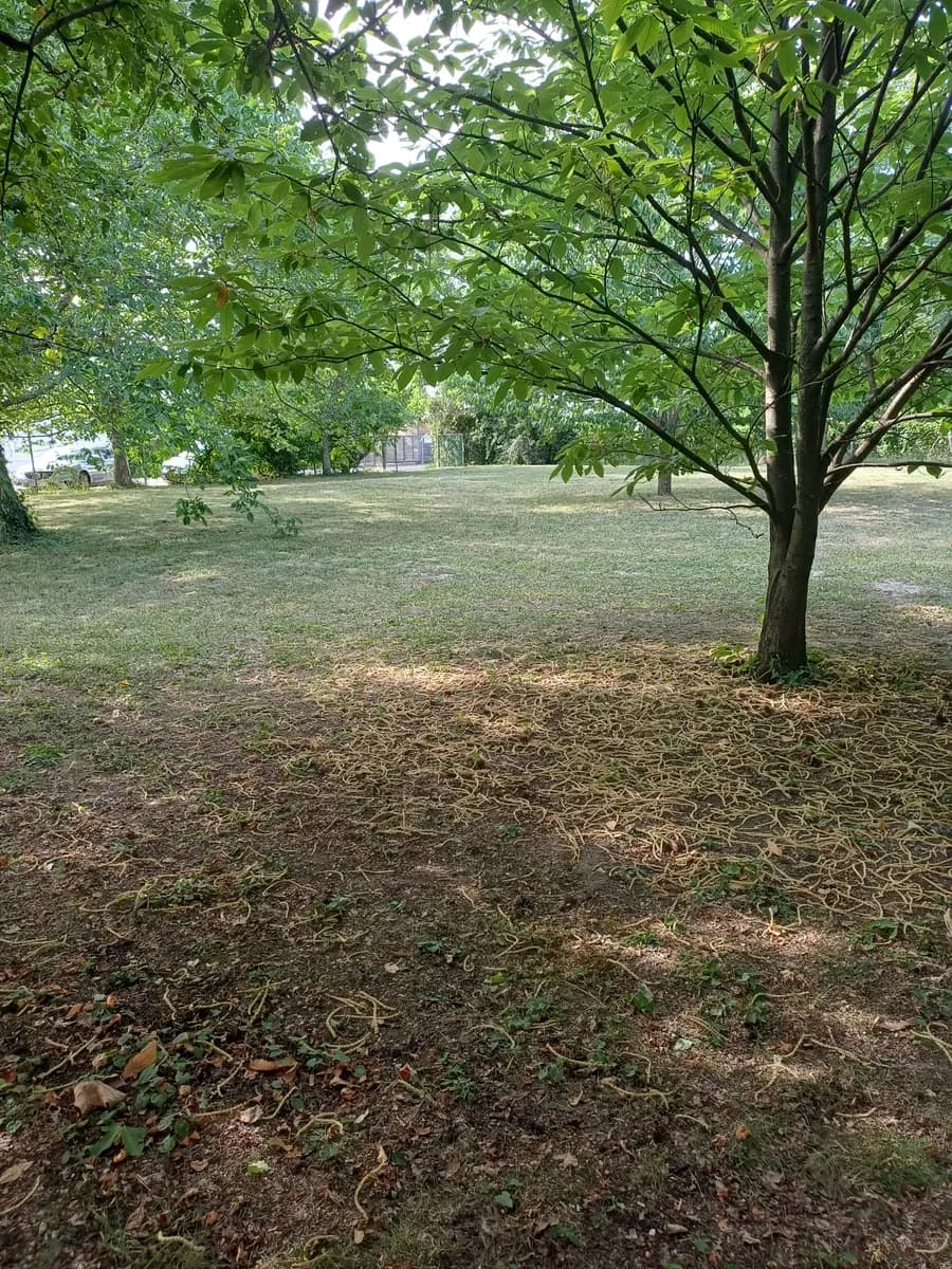 Immobilie mieten in Eisenstadt - Umgebung – 1 370 m², € 2.100 – Bild 15 von 30