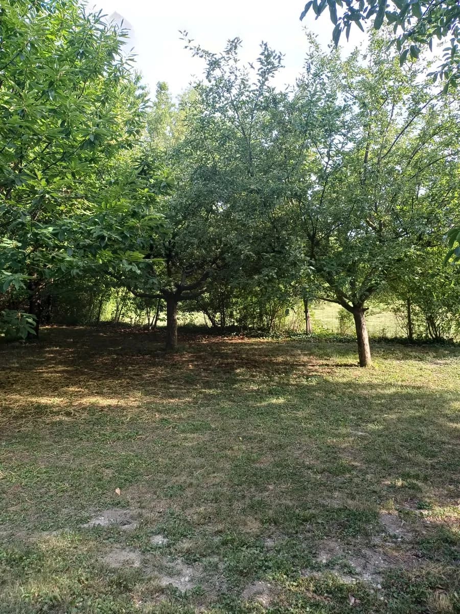 Immobilie mieten in Eisenstadt - Umgebung – 1 370 m², € 2.100 – Bild 16 von 30