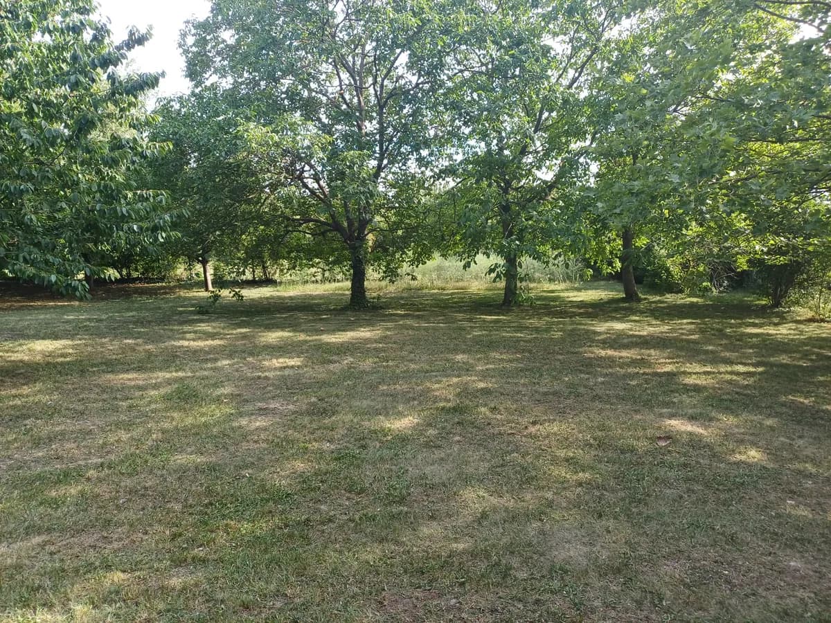 Immobilie mieten in Eisenstadt - Umgebung – 1 370 m², € 2.100 – Bild 17 von 30