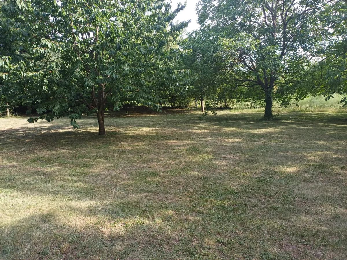 Immobilie mieten in Eisenstadt - Umgebung – 1 370 m², € 2.100 – Bild 18 von 30