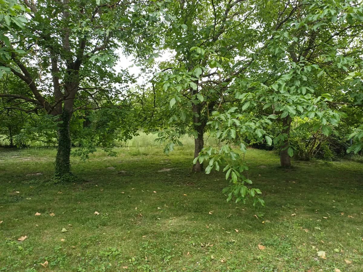 Immobilie mieten in Eisenstadt - Umgebung – 1 370 m², € 2.100 – Bild 20 von 30