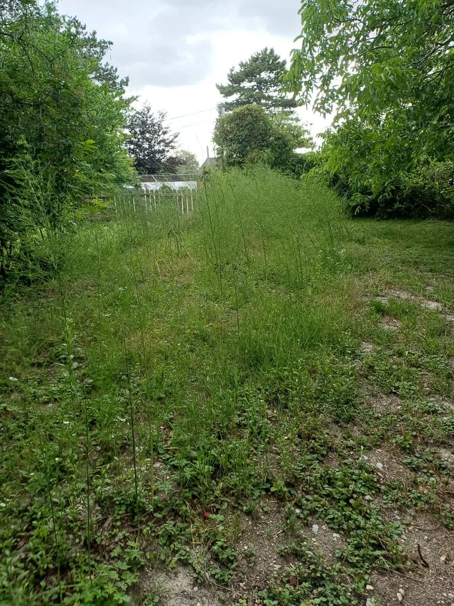 Immobilie mieten in Eisenstadt - Umgebung – 1 370 m², € 2.100 – Bild 21 von 30