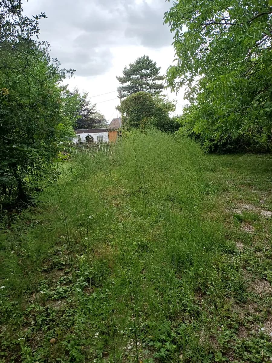 Immobilie mieten in Eisenstadt - Umgebung – 1 370 m², € 2.100 – Bild 22 von 30
