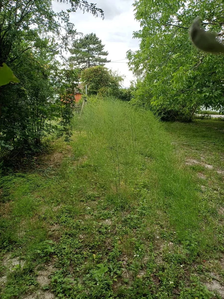 Immobilie mieten in Eisenstadt - Umgebung – 1 370 m², € 2.100 – Bild 24 von 30
