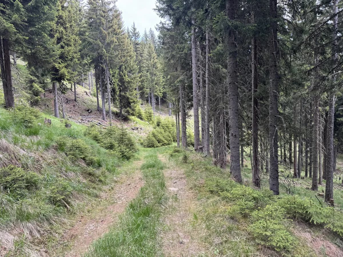 Grundstück kaufen in Feldkirchen – 100 000 m² – Bild 5 von 6