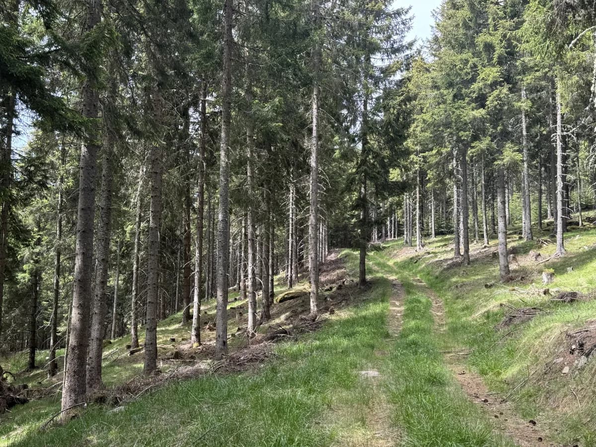 Grundstück kaufen in Feldkirchen – 100 000 m² – Bild 6 von 6