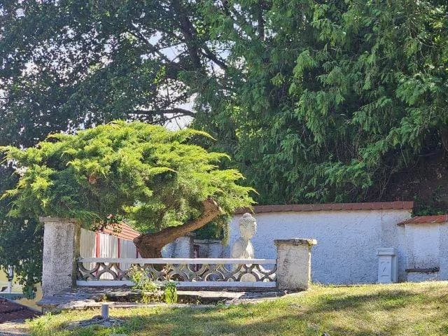 Gewerbeimmobilie kaufen in Krems an der Donau – 200 m², € 430.000 – Bild 25 von 25