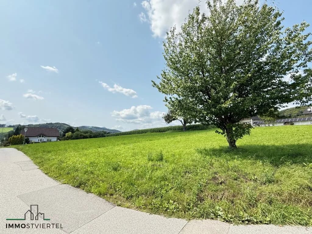 Immobilie kaufen in Melk – 3 683 m² – Bild 5 von 19