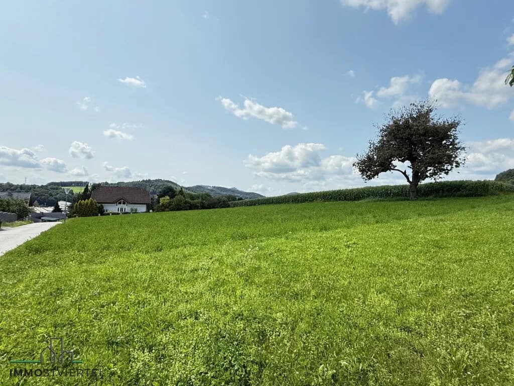 Immobilie kaufen in Melk – 3 683 m² – Bild 6 von 19