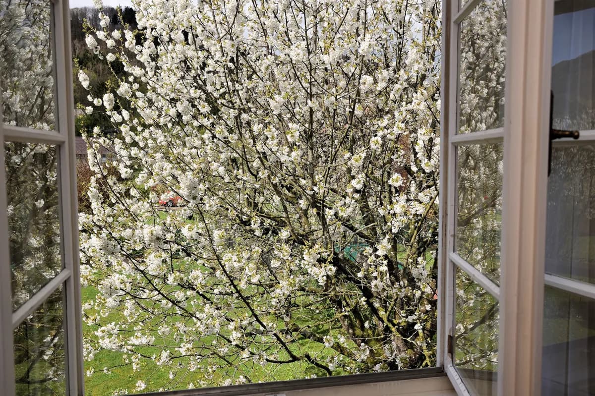 6-Zimmer-Haus kaufen in Scheibbs – 232,82 m², € 660.000 – Bild 19 von 22