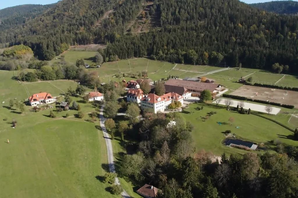 Immobilie kaufen in Sankt Veit an der Glan – 124 448 m² – Bild 16 von 24