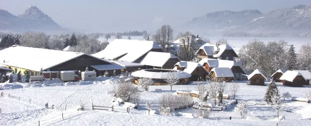Immobilie kaufen in Sankt Veit an der Glan – 124 448 m² – Bild 24 von 24