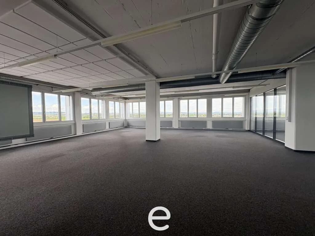 Gewerbeimmobilie mieten in Wels-Land – 713 m², € 7.487 – Bild 2 von 11