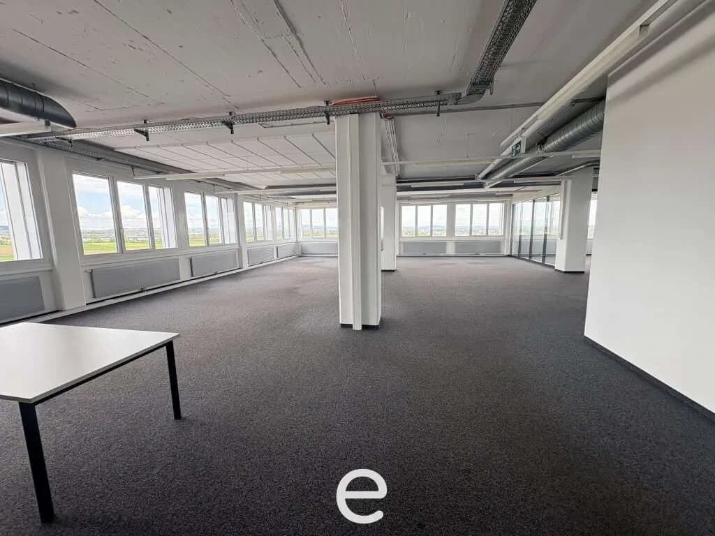 Gewerbeimmobilie mieten in Wels-Land – 358 m², € 3.760 – Bild 5 von 10