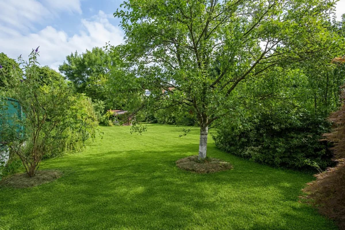 Grundstück kaufen in Wien – 969 m², € 746.000 – Bild 7 von 11