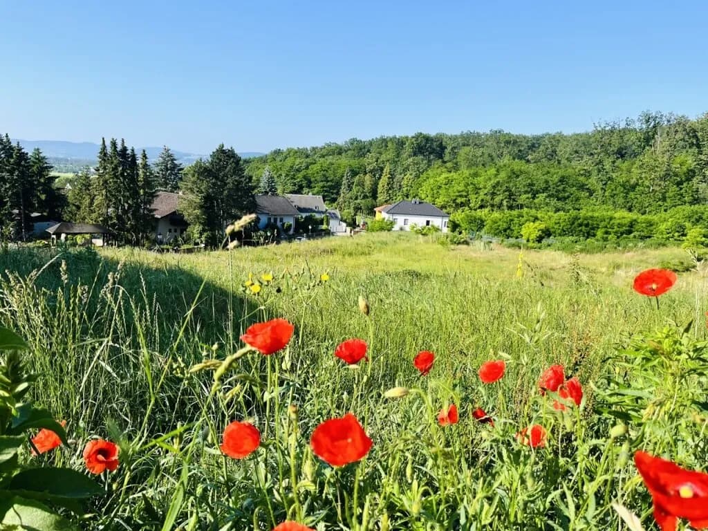 Grundstück kaufen in Korneuburg – 529 m², € 338.560
