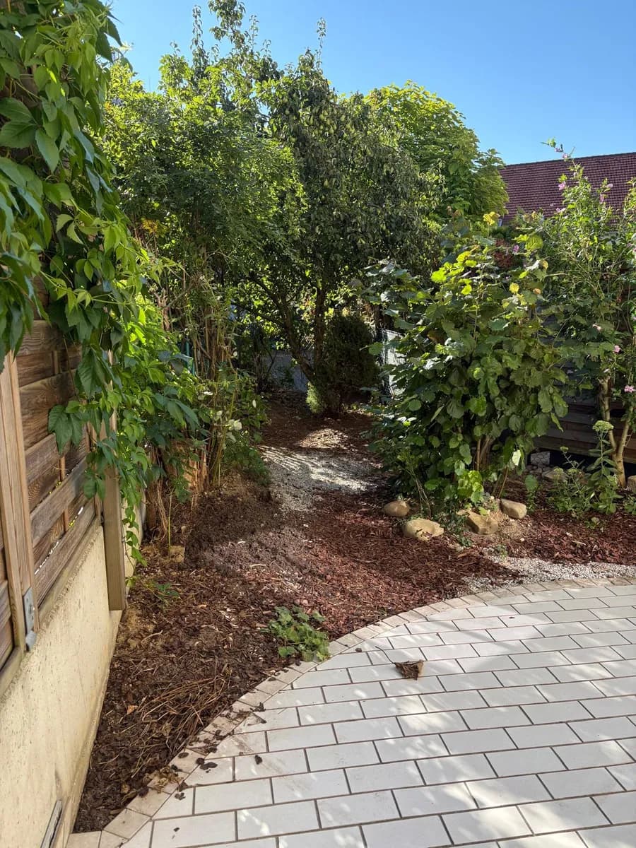 1-Zimmer-Wohnung mieten in Amstetten – 53 m², € 650 – Bild 7 von 12