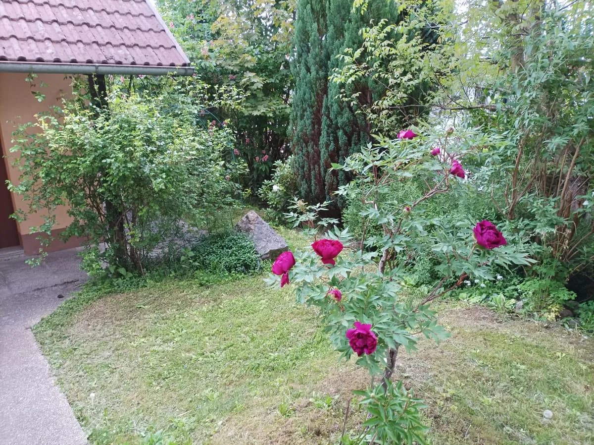 10-Zimmer-Gewerbeimmobilie kaufen in Gmunden – 320 m², € 890.000 – Bild 18 von 19