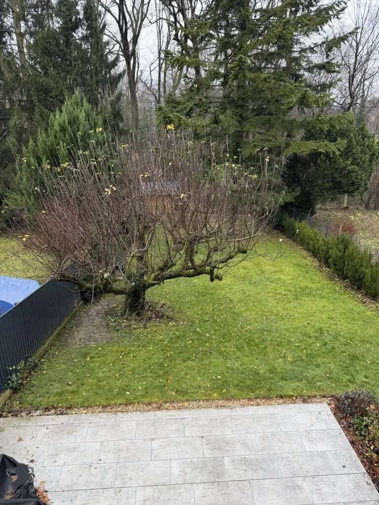 2-Zimmer-Wohnung mieten in Wien – 77,41 m², € 1.630 – Bild 8 von 20