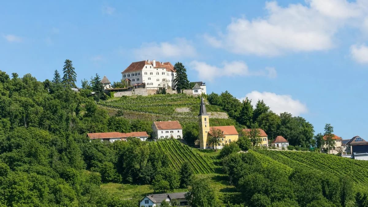 8-Zimmer-Gewerbeimmobilie kaufen in Südoststeiermark – 156 m², € 298.000 – Bild 9 von 51