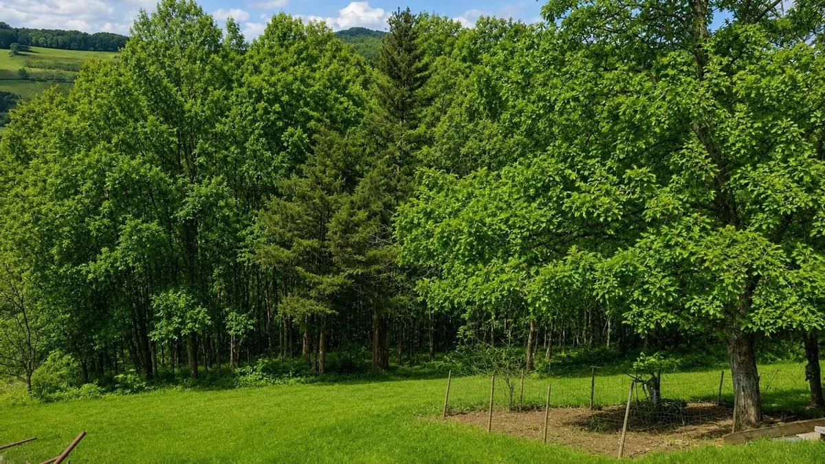 8-Zimmer-Gewerbeimmobilie kaufen in Südoststeiermark – 156 m², € 298.000 – Bild 12 von 51