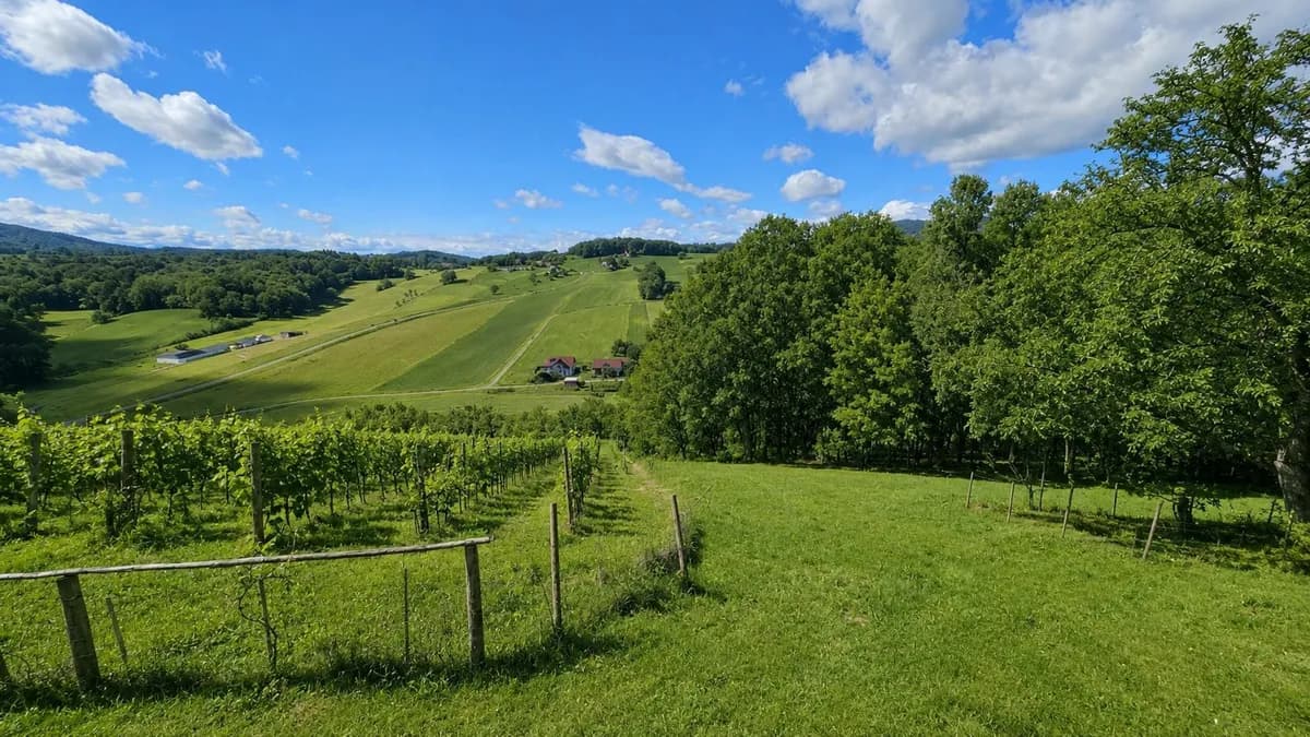 8-Zimmer-Gewerbeimmobilie kaufen in Südoststeiermark – 156 m², € 298.000 – Bild 13 von 51