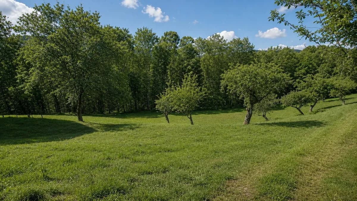 8-Zimmer-Gewerbeimmobilie kaufen in Südoststeiermark – 156 m², € 298.000 – Bild 15 von 51